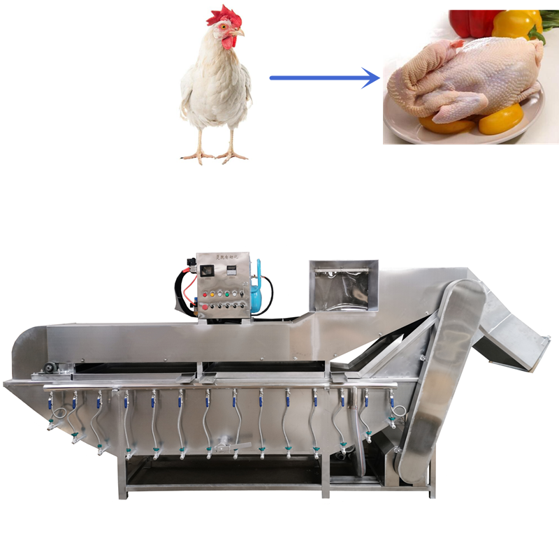 Chicken Plucker Machine - Chicken Plucking Machine Automatic Poultry Plucker