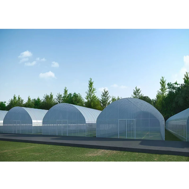 # l Low Cost Farm Singlespan G – обзор и цена Organic Farming Of Agriculture