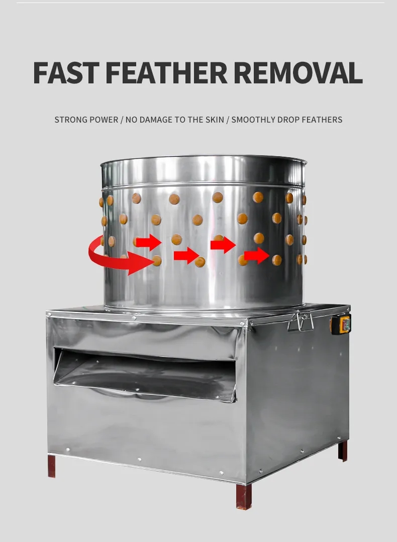 HHD Medium Size SD50 Chicken F – обзор и цена Chicken Plucker Machine