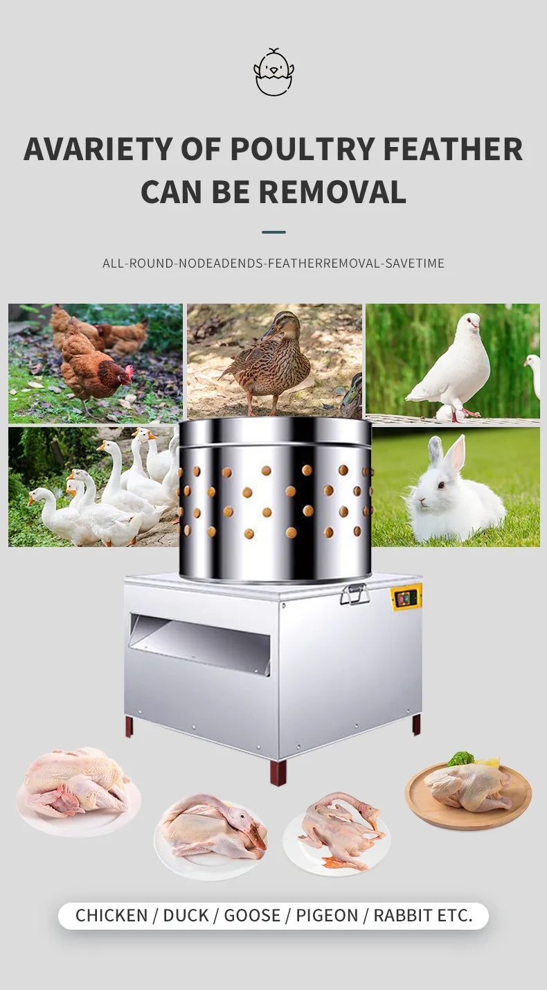HHD Medium Size SD50 Chicken F – обзор и цена Chicken Plucker Machine