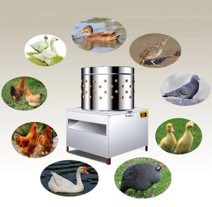 Commercial Chicken Defeatherin – обзор и цена Chicken Plucker Machine
