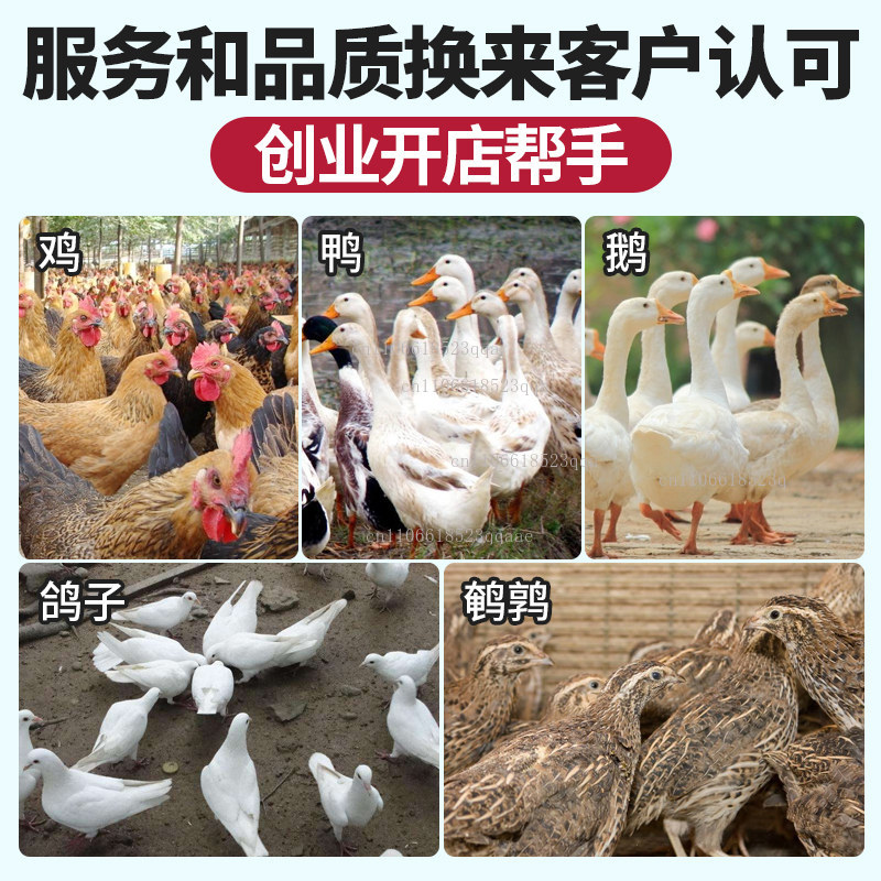 new Quail Pigeons Bird Hair Re – обзор и цена Chicken Plucker Machine