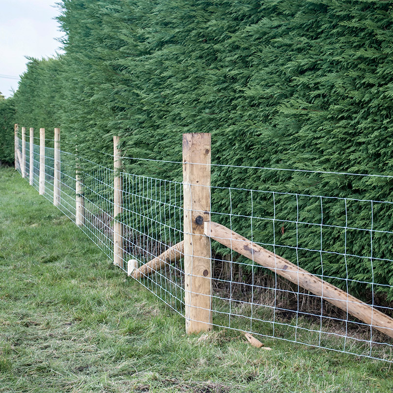 Customized Iron Wire Mesh Fixe – обзор и цена Farming In Agriculture