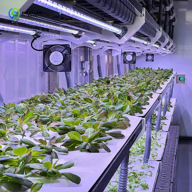 Customized Custom Container Fa – обзор и цена Organic Farming Of Agriculture