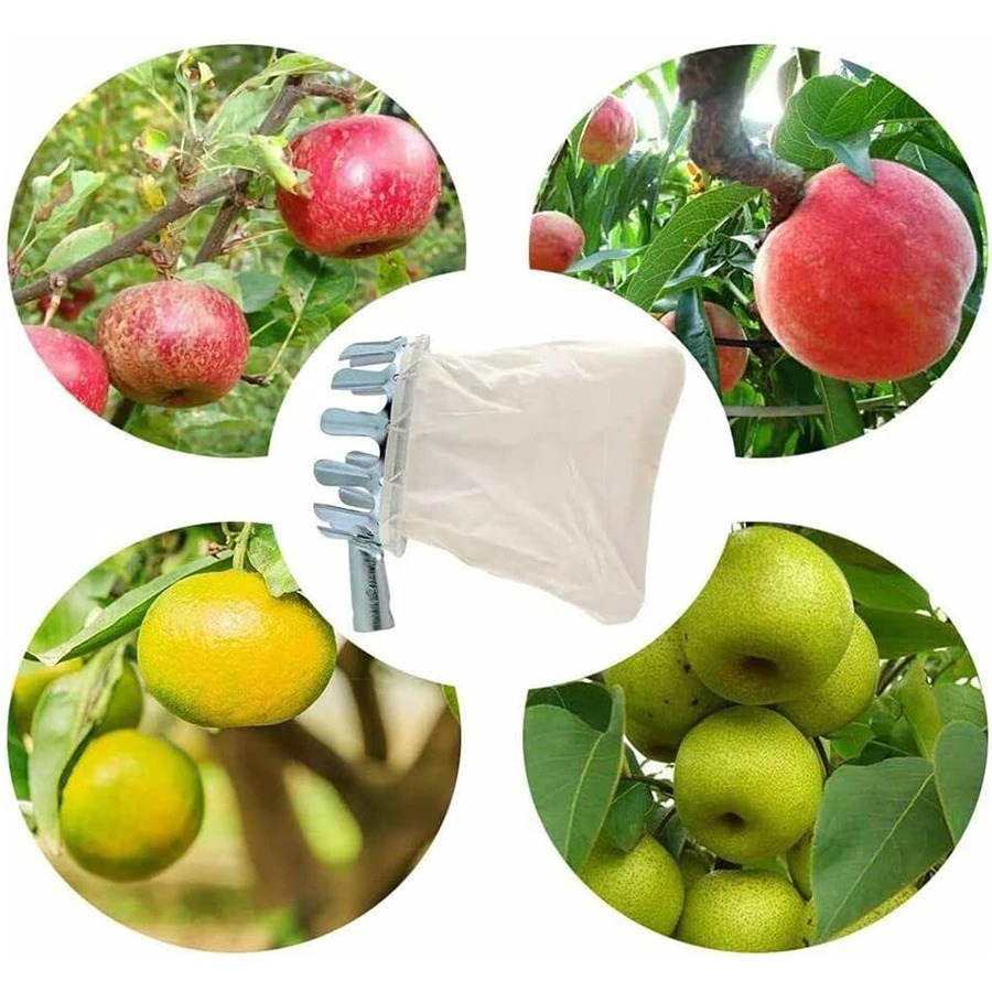 Professional Berry Picker Tool – обзор и цена Agriculture Farming Tool