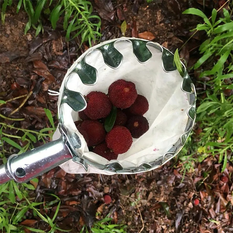 Professional Berry Picker Tool – обзор и цена Agriculture Farming Tool