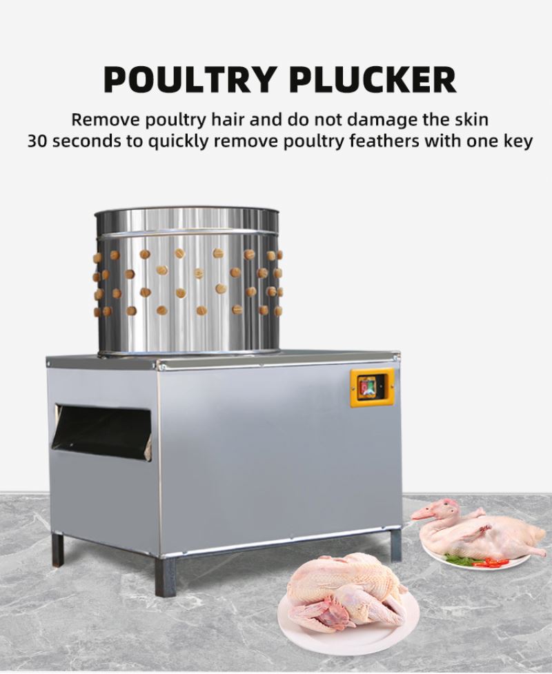 ISO Approved Pigeons Chicken S – обзор и цена Chicken Plucker Machine