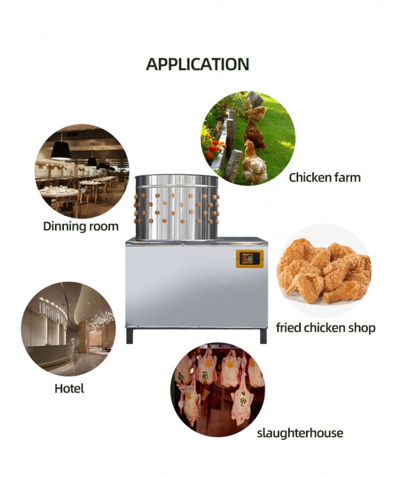 ISO Approved Pigeons Chicken S – обзор и цена Chicken Plucker Machine