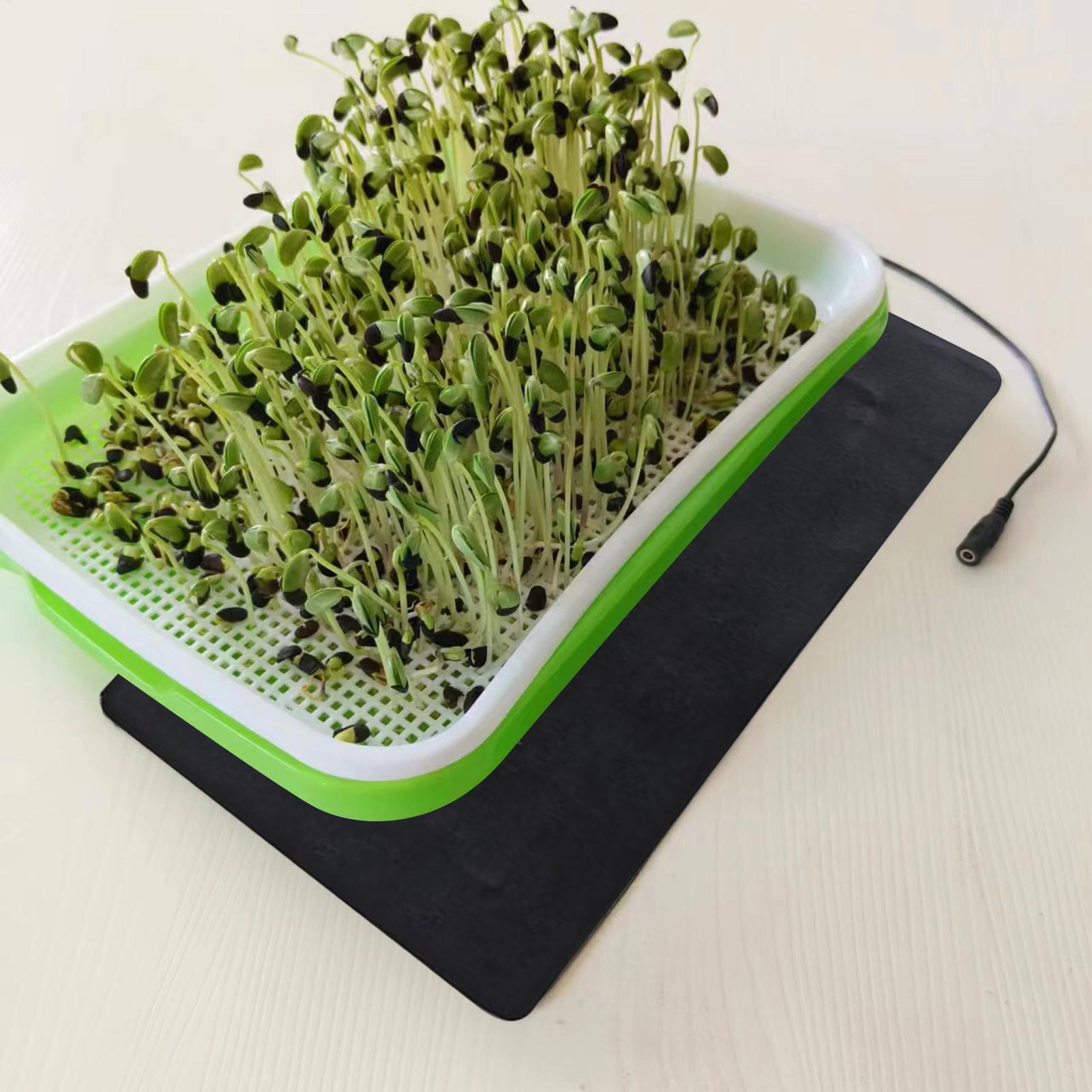 Seedling Heat Mat 5V 2A 8.5W P – обзор и цена Seedling Heat Mat